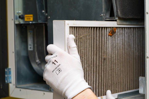 Best Emergency Air Duct Cleaning  in Deale, MD